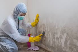 Best Mold Remediation for Healthcare Facilities  in Boyes Hot Springs, CA